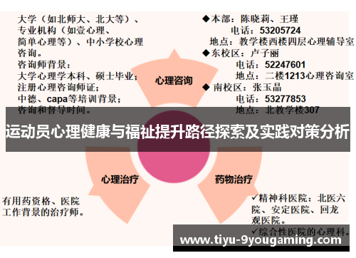 运动员心理健康与福祉提升路径探索及实践对策分析